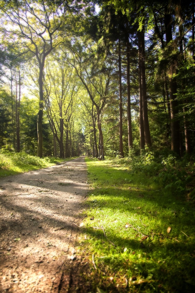 Kontakt Der Kontinenten 39/50