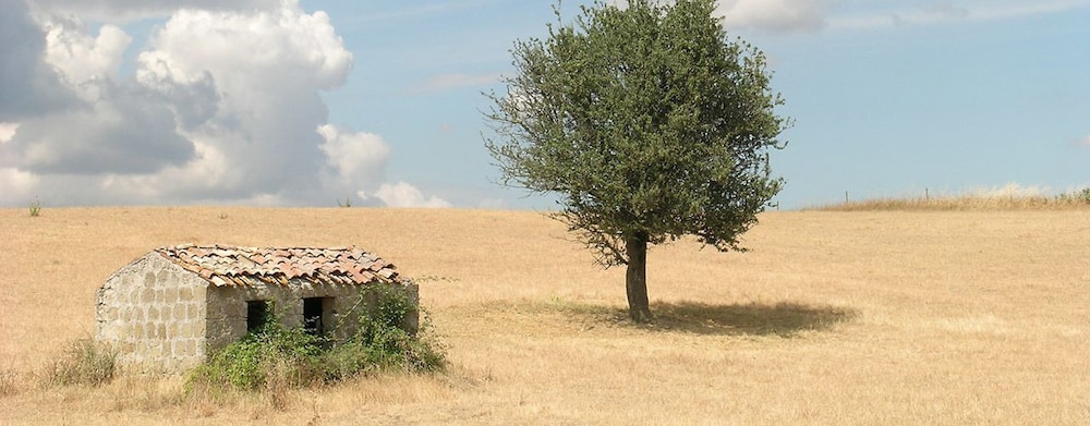 Poggio Del Castagno 9/12