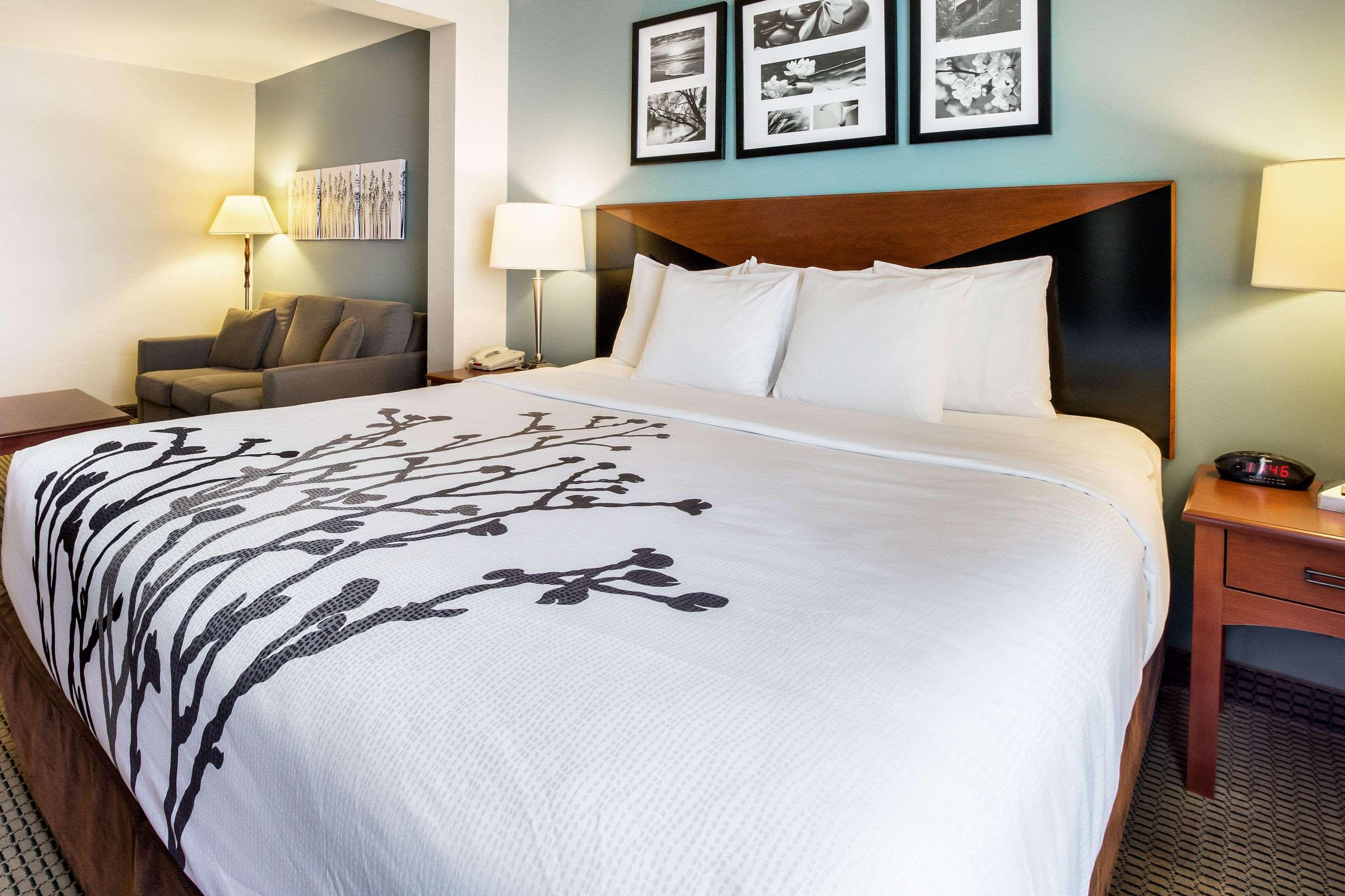 SUITE, KING BED
