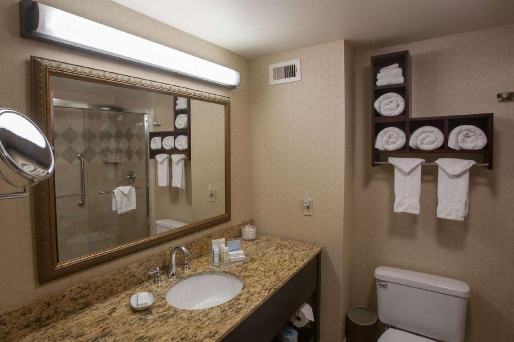 استوديو بسرير كينج مع أريكة لذوي الإعاقة، Hampton Inn Suites Stillwater 4/7