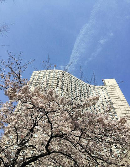 Hilton Tokyo 77/78