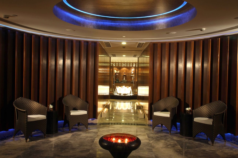 Radisson Blu Plaza Hotel Delhi Airport 51/76