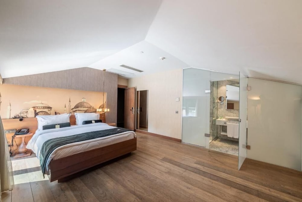 Hotel St. Sophia Istanbul 23/76