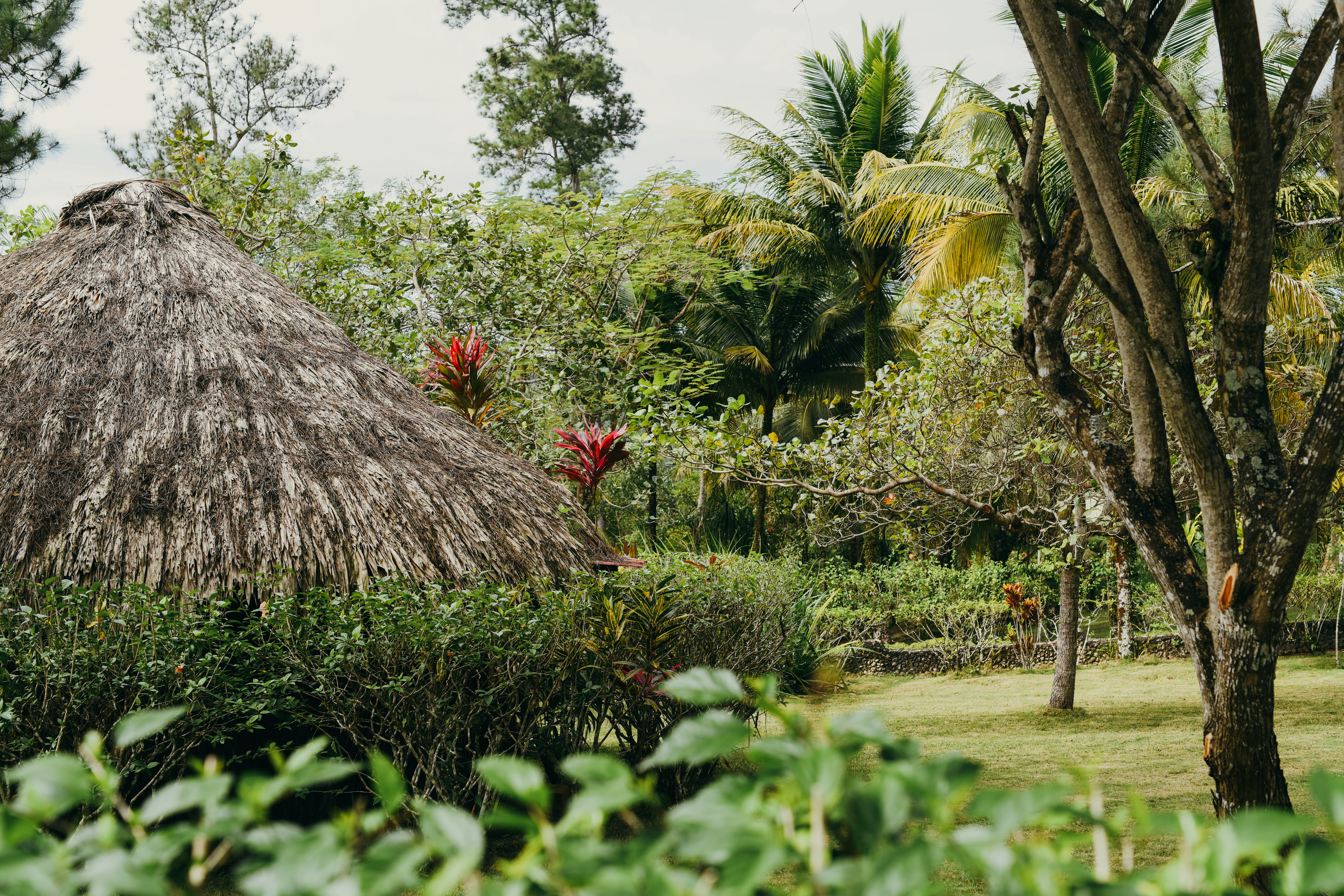 Gaia Riverlodge 78/81
