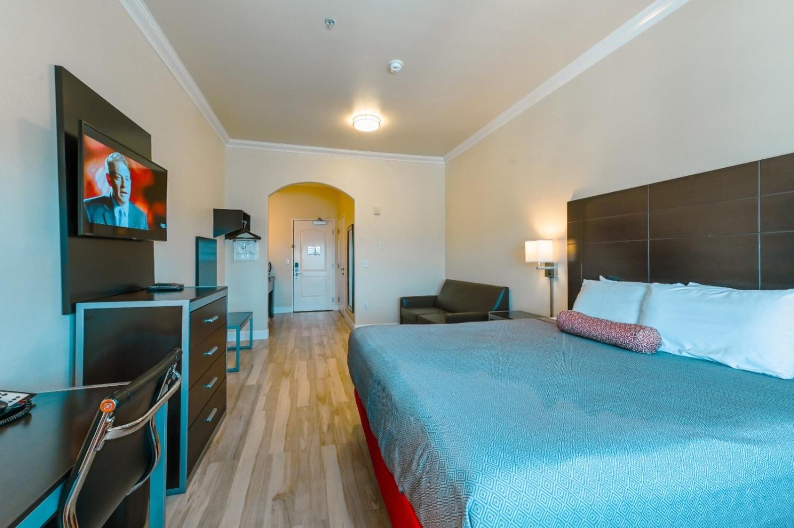 Suite, King Bed, Sofa
