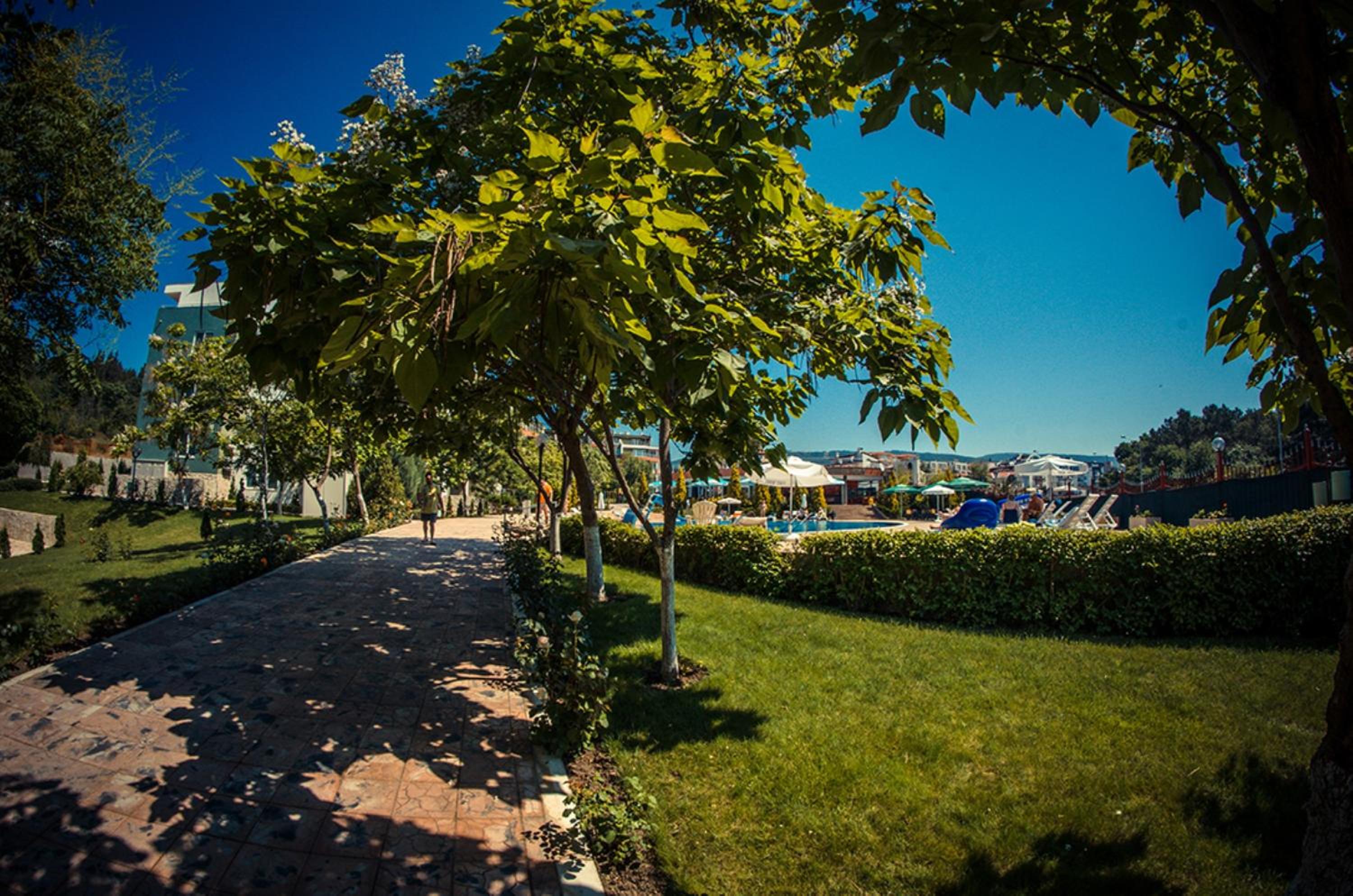Green Fort 41/55