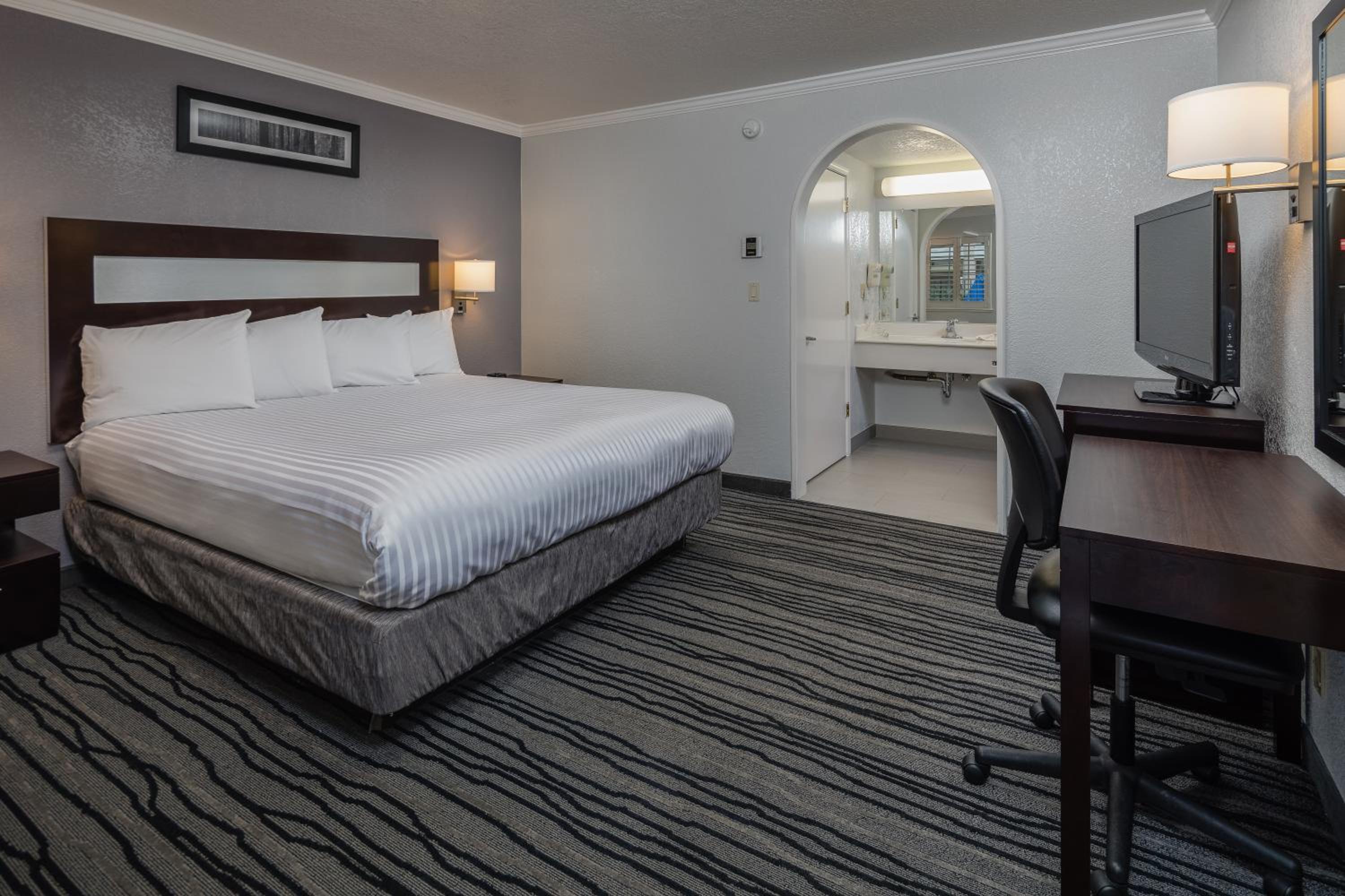 Room, King Bed