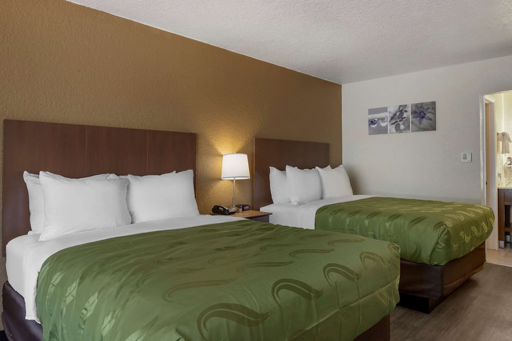 Quality Inn Saint Petersburg North - Tampa Bay 19/33
