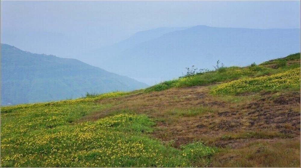 Sterling Panchgani 56/62