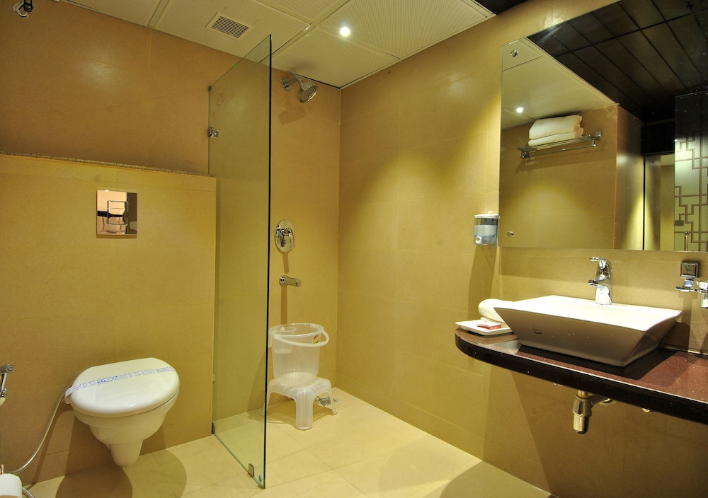 Hotel Sai Miracle 23/47