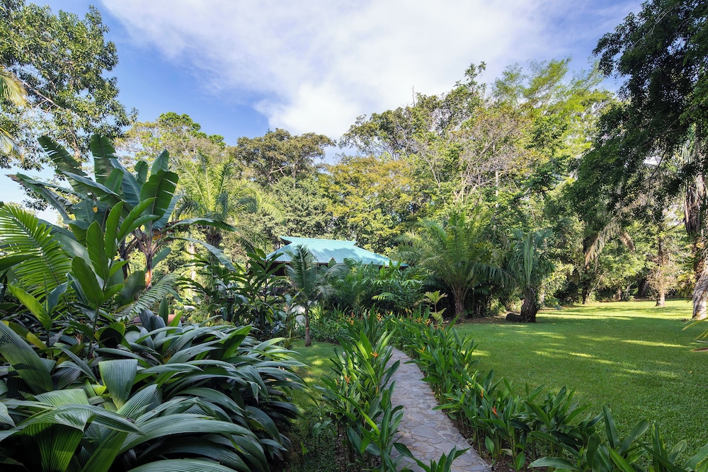 Bosque del Cabo Rain Forest Lodge 27/42