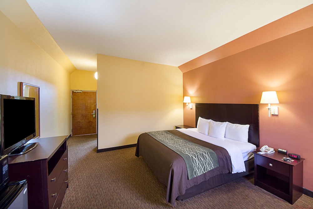 Comfort Inn Mission - McAllen West 27/51