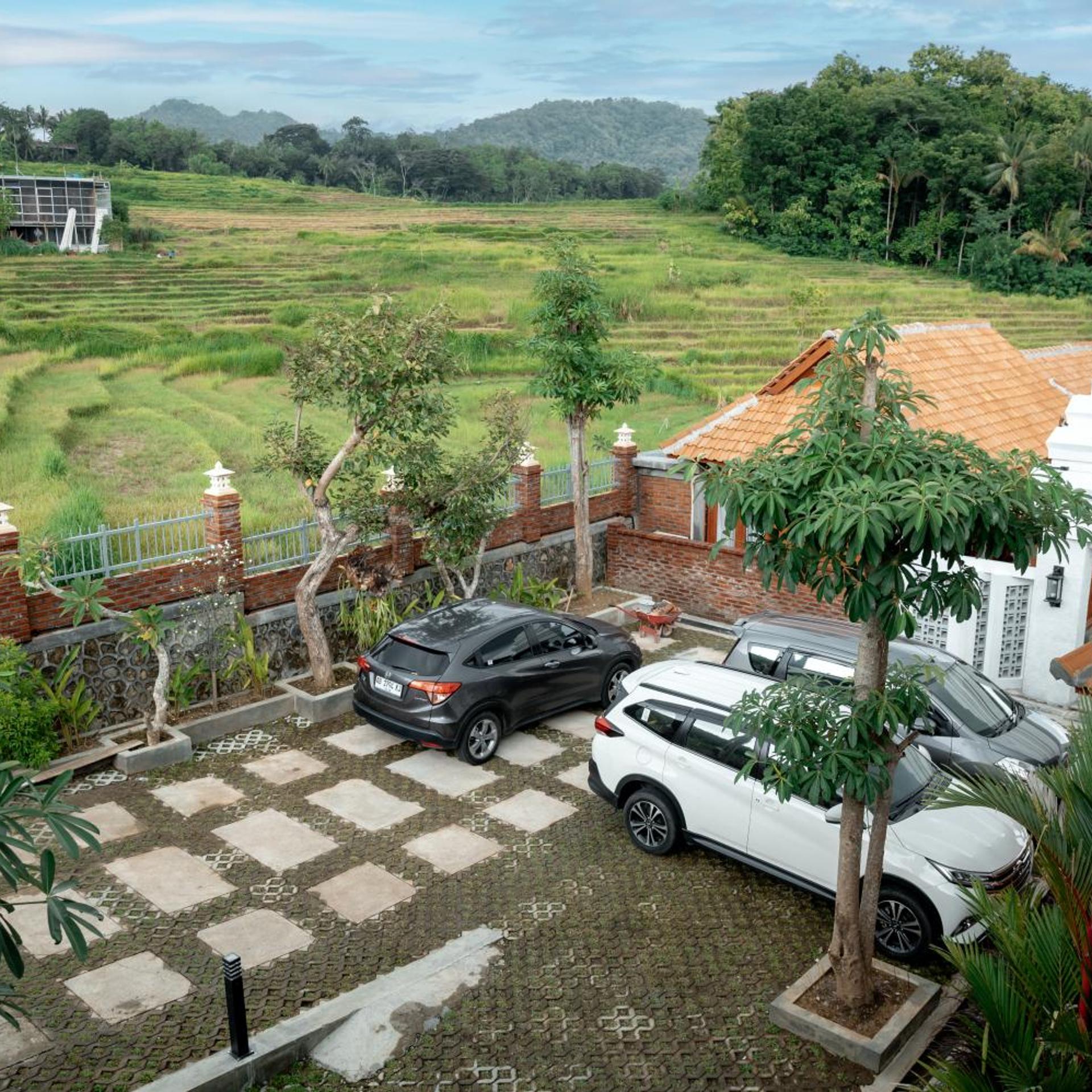 The Swantari by ARBA 25/32