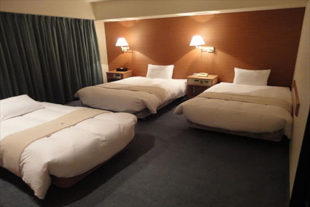 Green Rich Hotel Nishitetsu Ohashi Ekimae 6/56