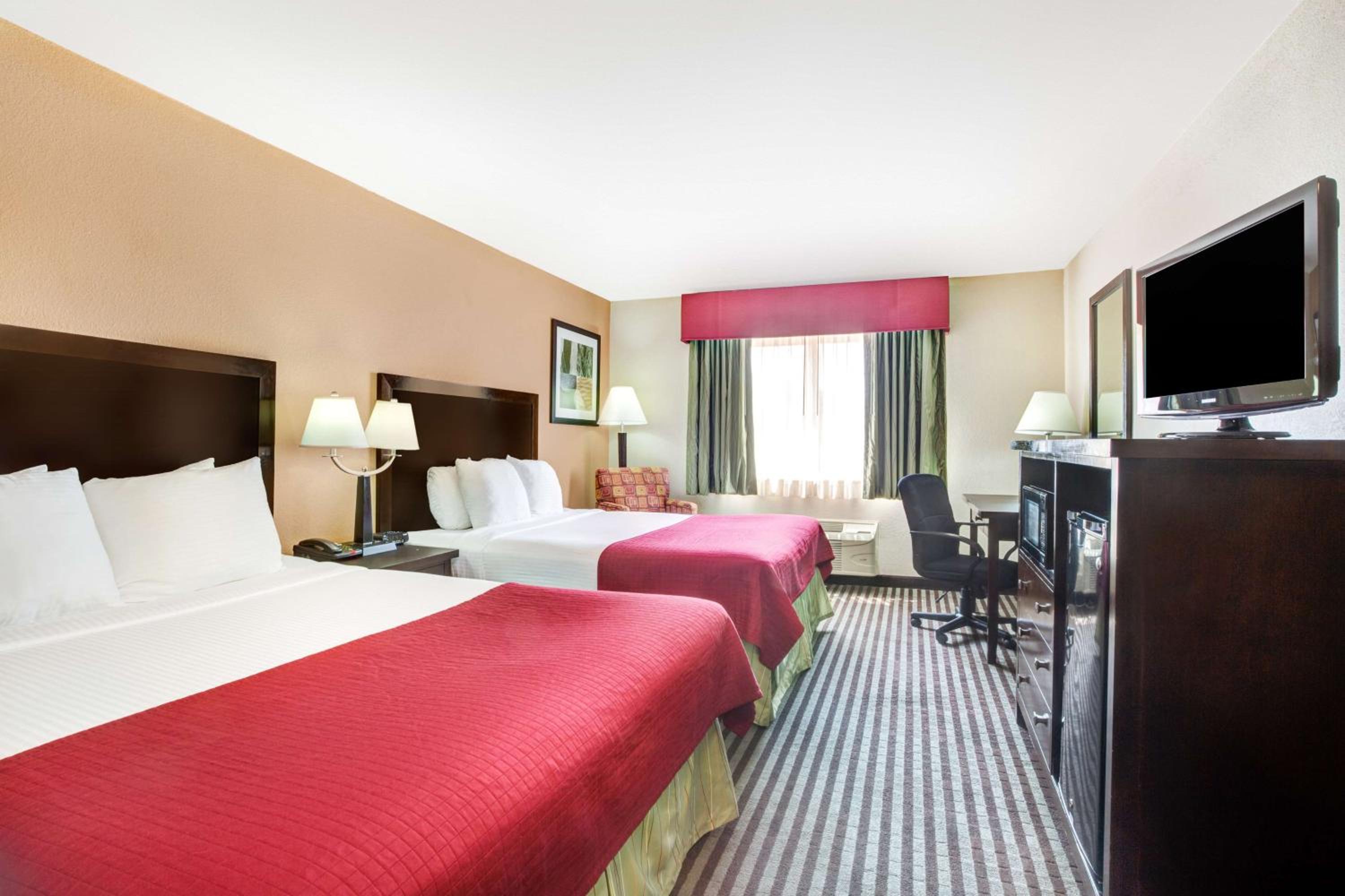 Studio, Suite, King Bed, Sofa