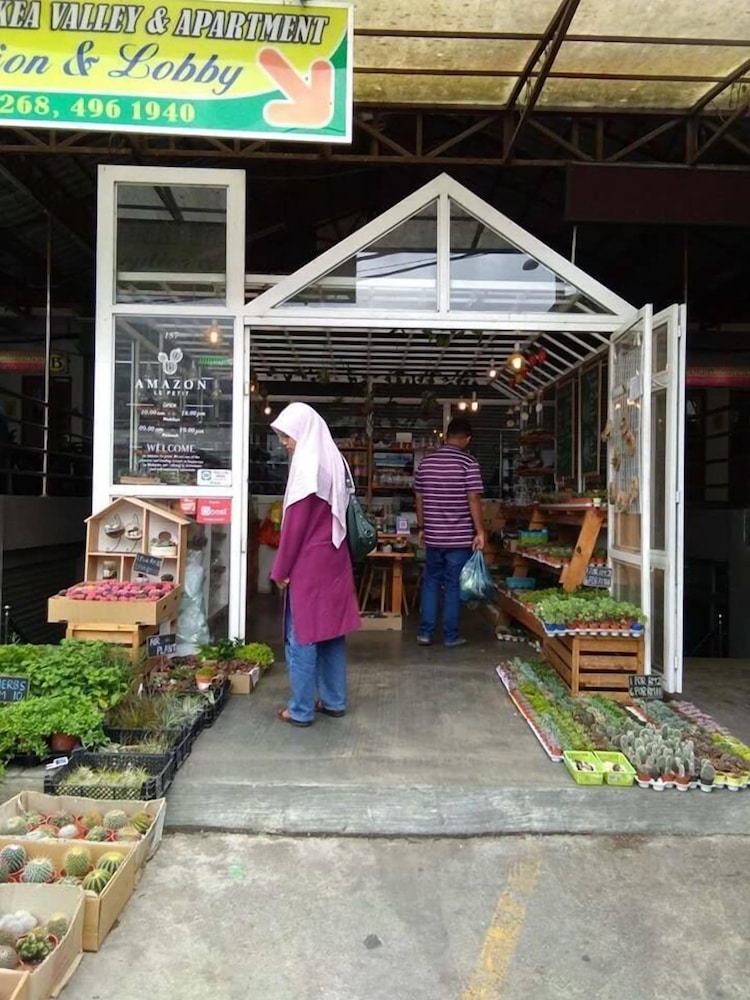 Kea Valley Hotel Apartment 6/46