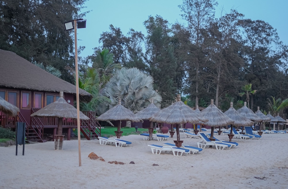 Royal Horizon Baobab 51/64