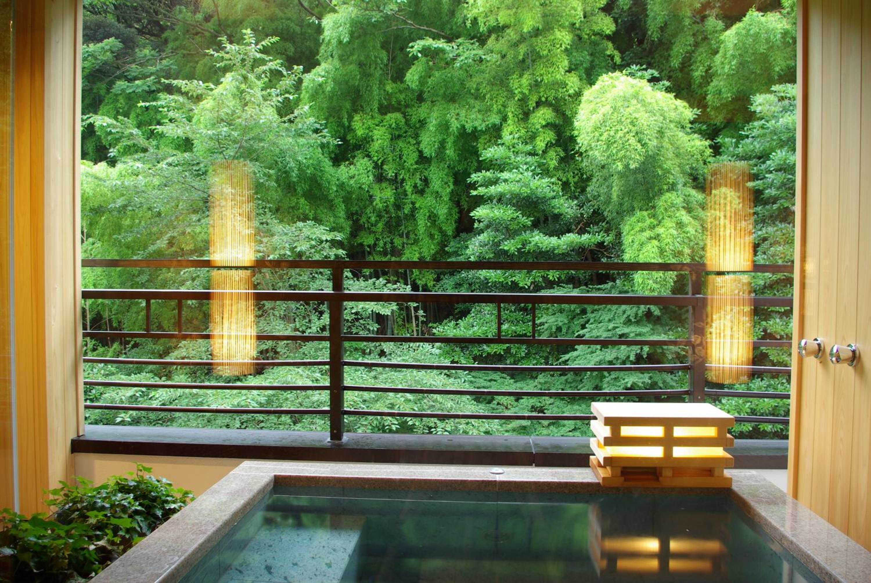 Japanese, Outdoor Bath, Hakone Kamon 2/6