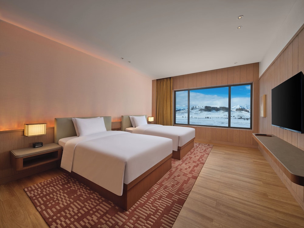 Hilton Altay Hemu 8/43