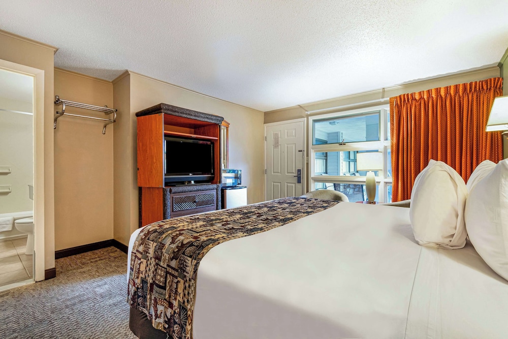 Room, King Bed, Pool View
