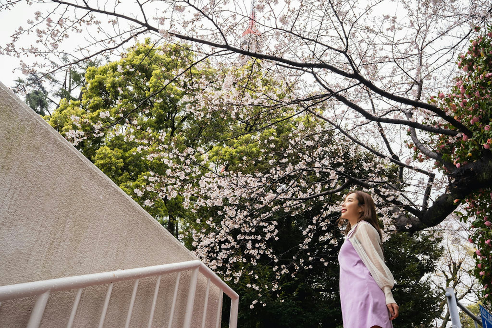 Tokyo Prince Hotel 48/48