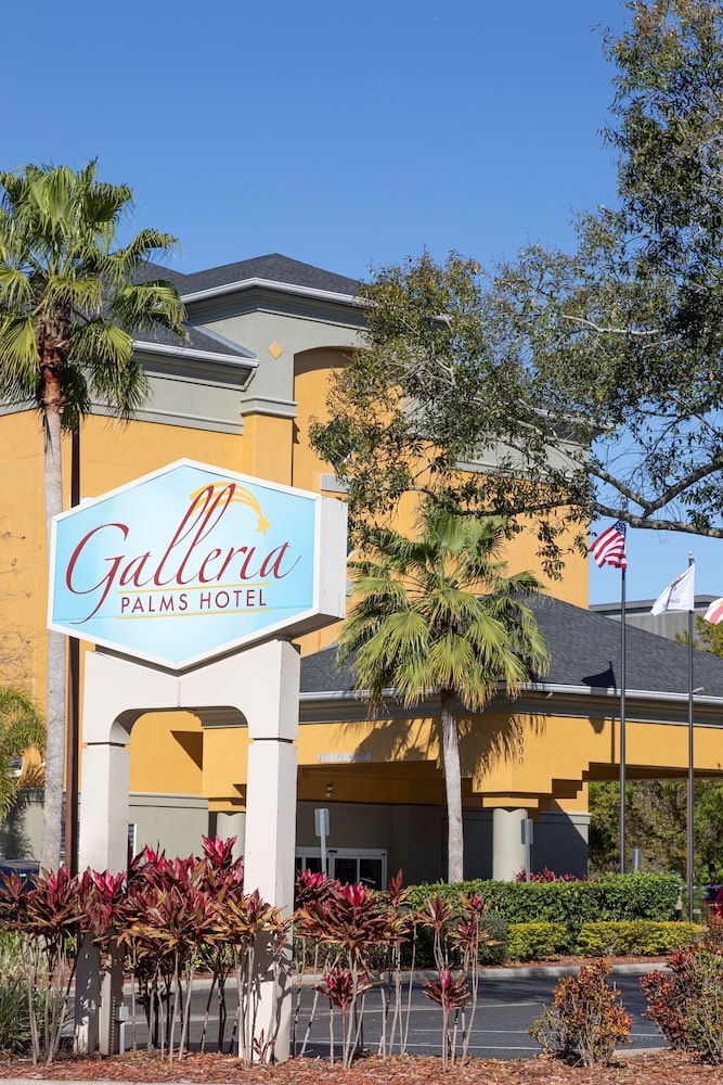Galleria Palms Hotel 6/59