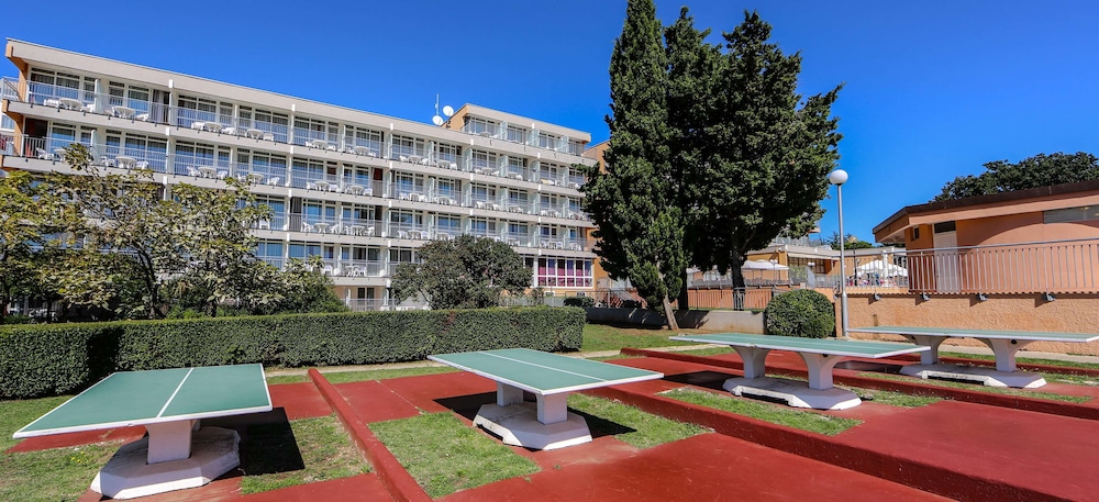 Arena Hotel Holiday 36/50