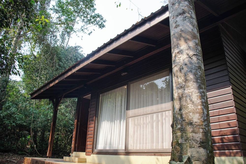 Yvy de Selva Hotel 6/51