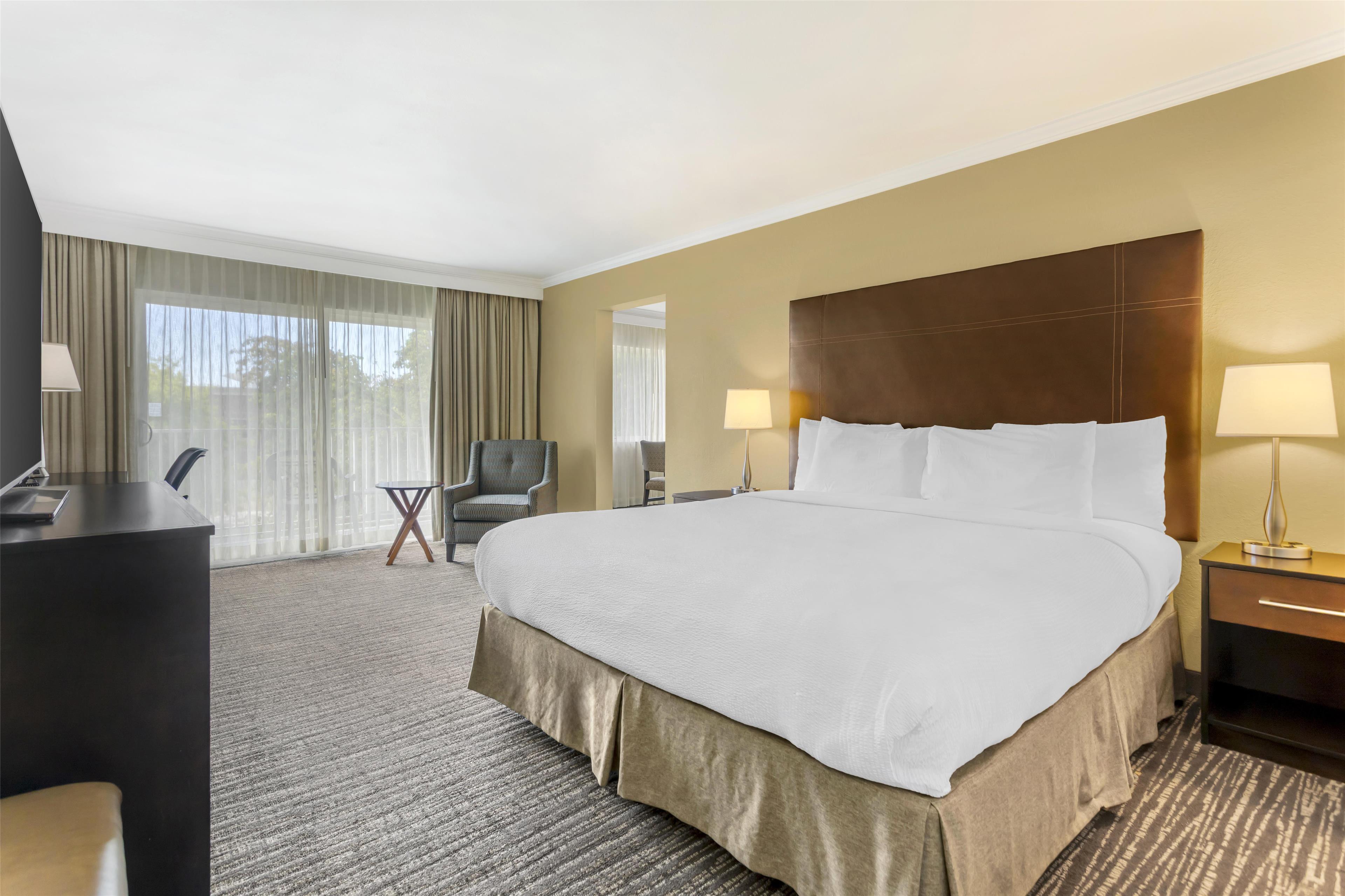 Suite, King Bed