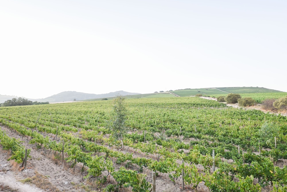 Lovane Boutique Wine Estate & Guesthouse 40/48