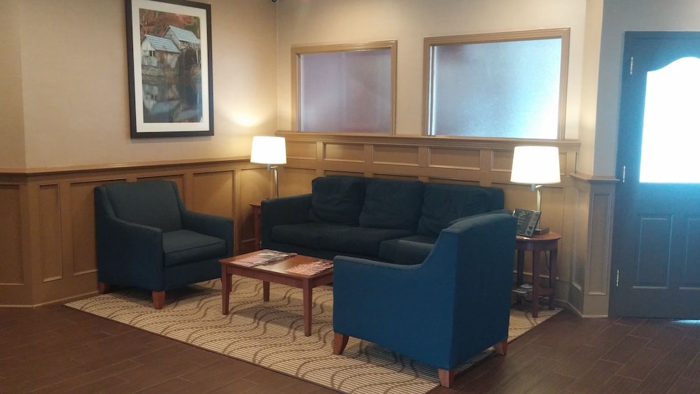 Comfort Inn & Suites Raphine VA 29/34