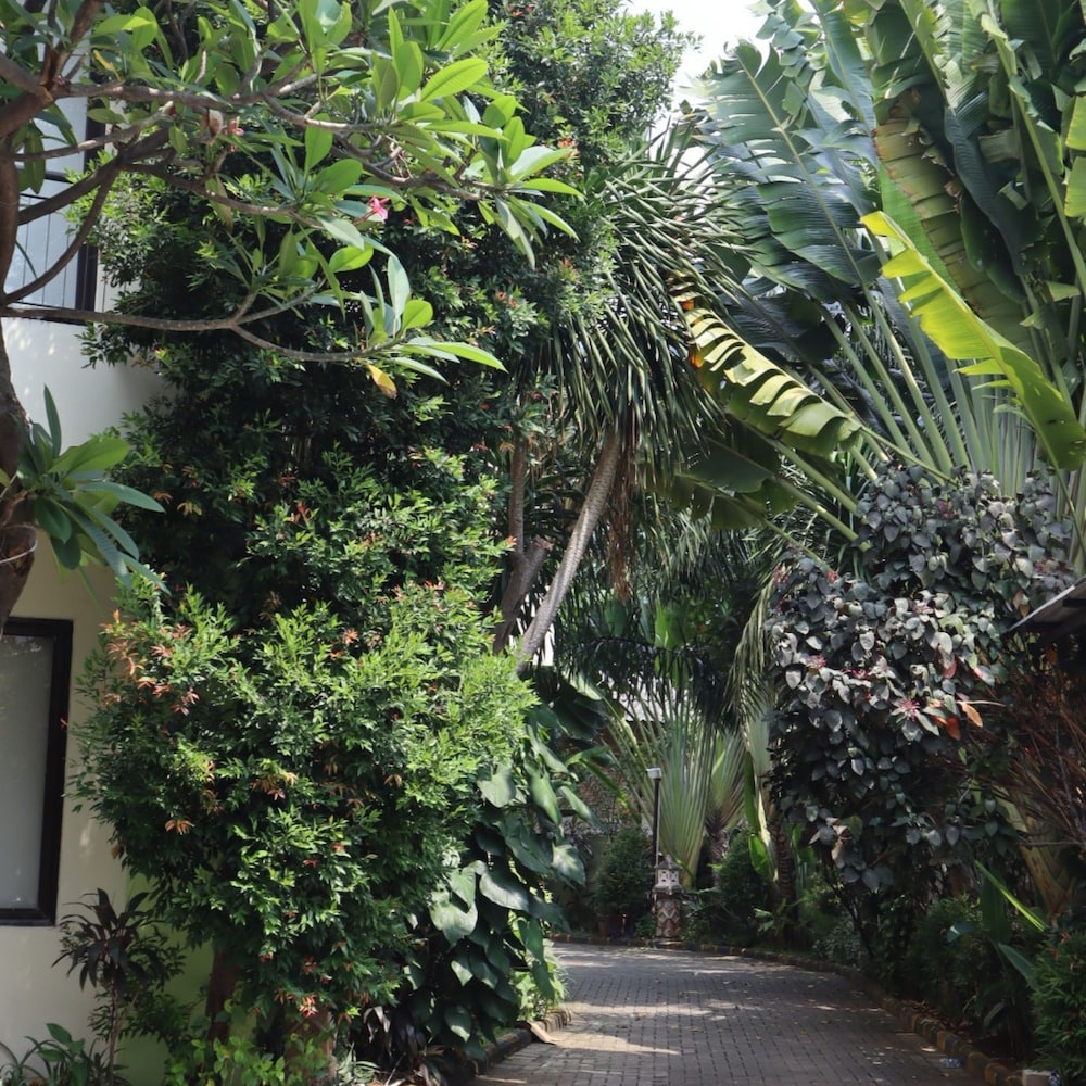 D'Bamboo Suites 55/58