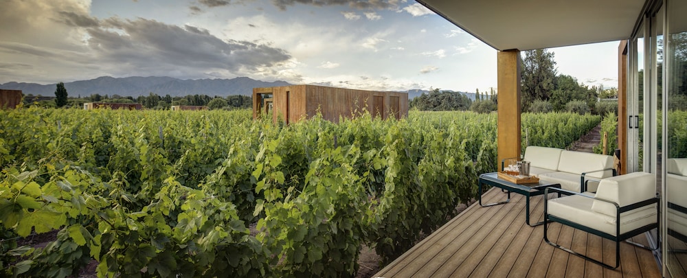 Entre Cielos Wine & Wellness Hotel 3/69
