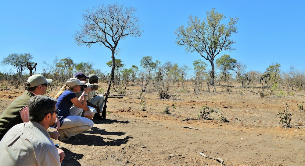 Hoyo-Hoyo Tsonga Lodge 55/68