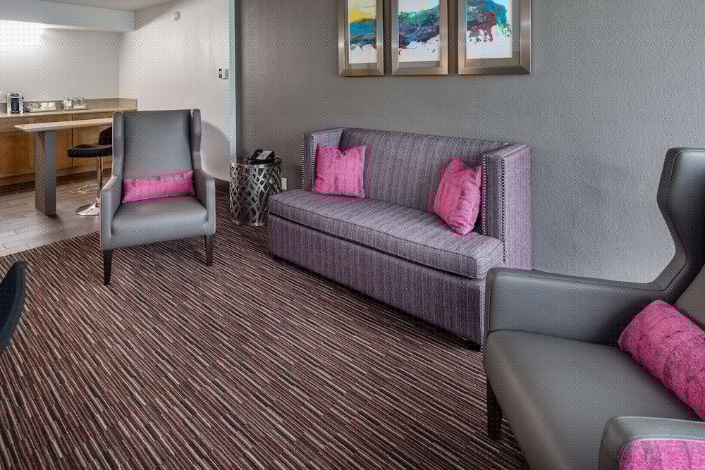 Radisson Hotel Oakland Airport 42/63