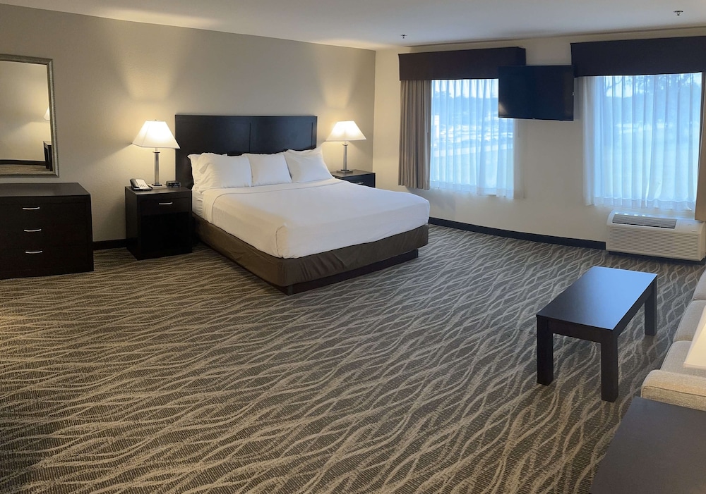 Standard, Queen Bed, Kitchen