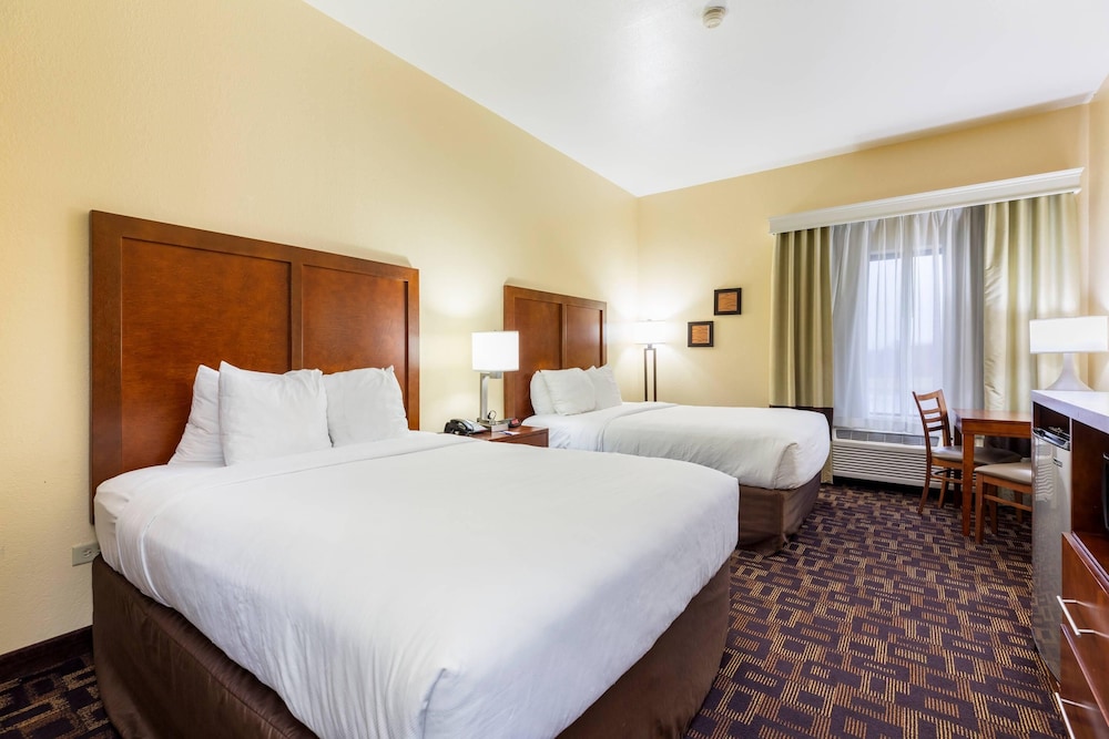 Comfort Inn and Suites North Aurora Naperville 14/50
