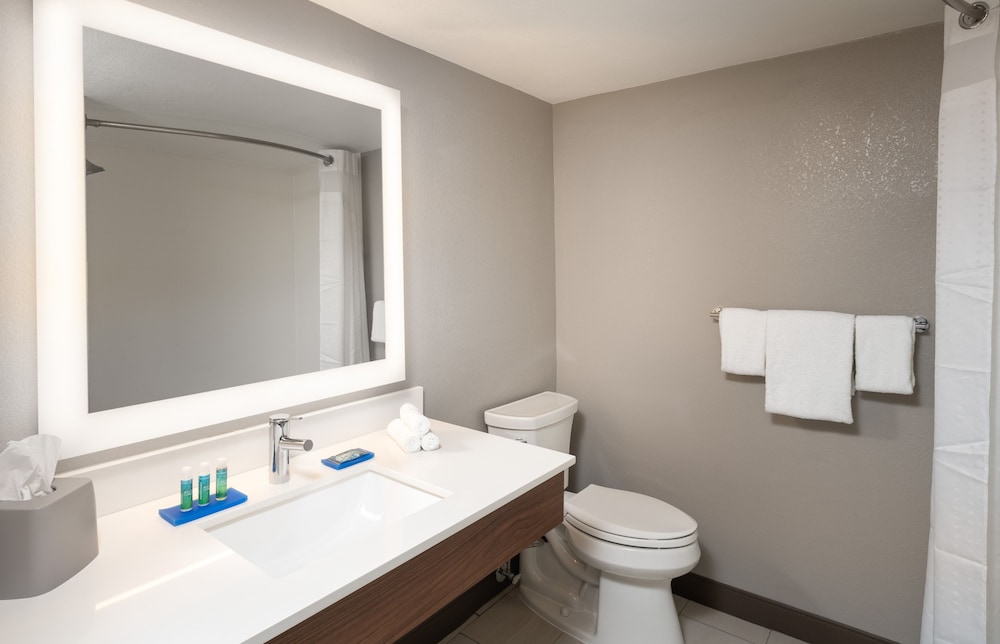 Holiday Inn Express Boca Raton-West 21/60