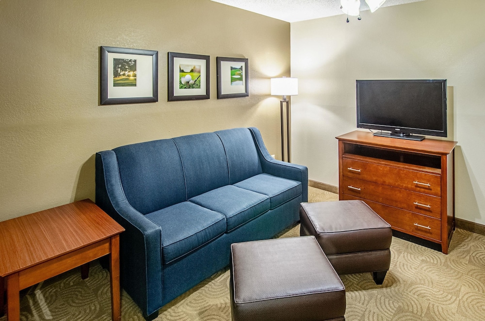 Comfort Inn Suites Santee 25/39