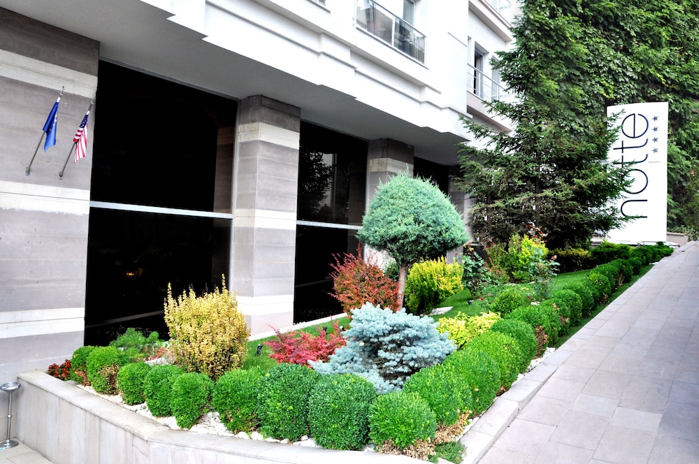 Notte Hotel 3/50