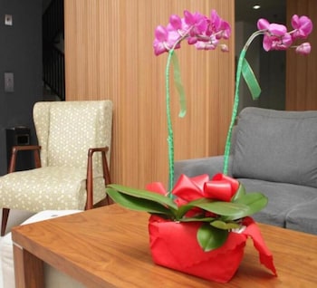 M Hotel Jakarta 55/67