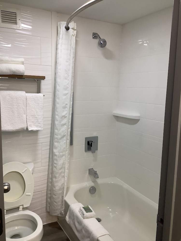 Best Western Plus Executive Hotel 14/37