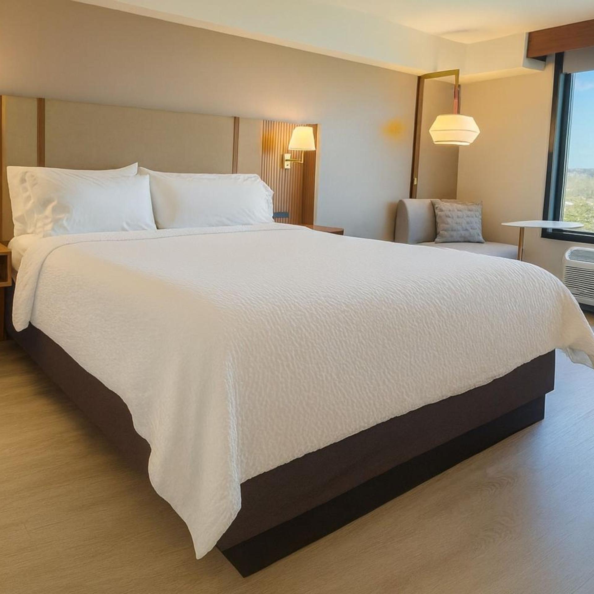 Suite, Queen Bed, Sofa, Accessible