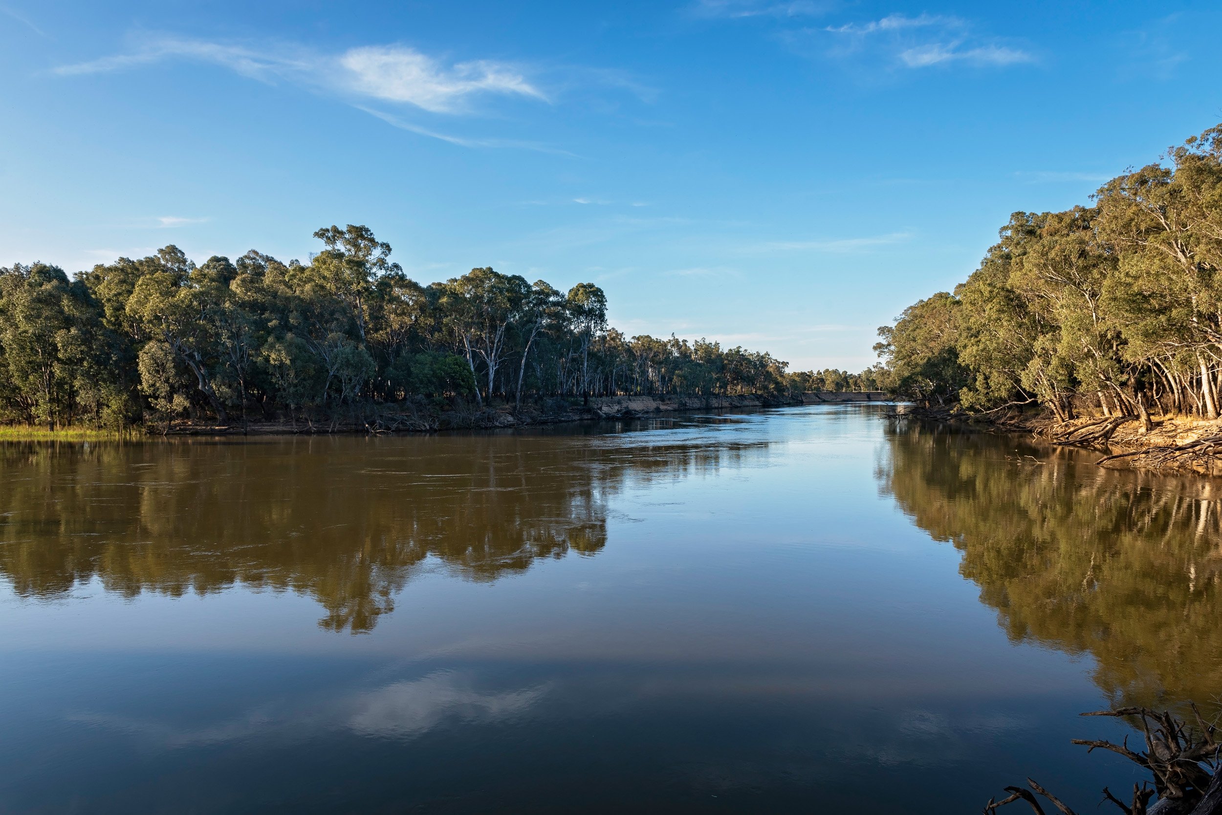 DISCOVERY PARKS - ECHUCA 37/38