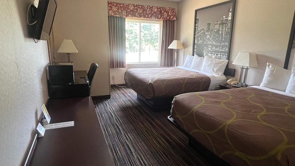 Super 8 by Wyndham Albany 20/51