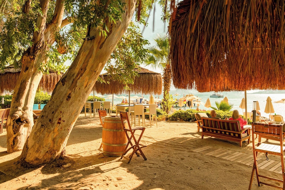 TUI BLUE Grand Azur 40/50