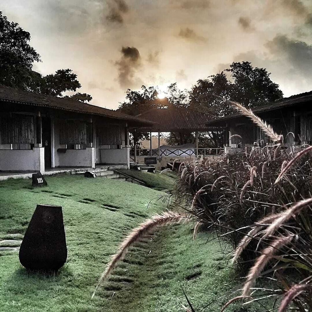 Asiatic Lion Lodge 30/50