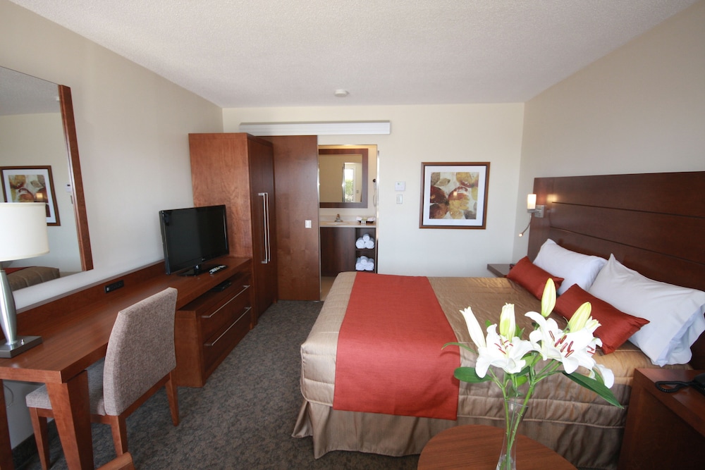 Motel Adam 43/70