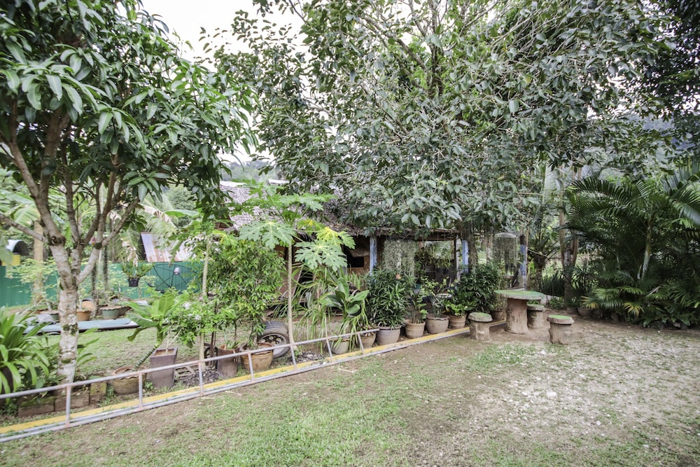 Banana Lodge 21/28