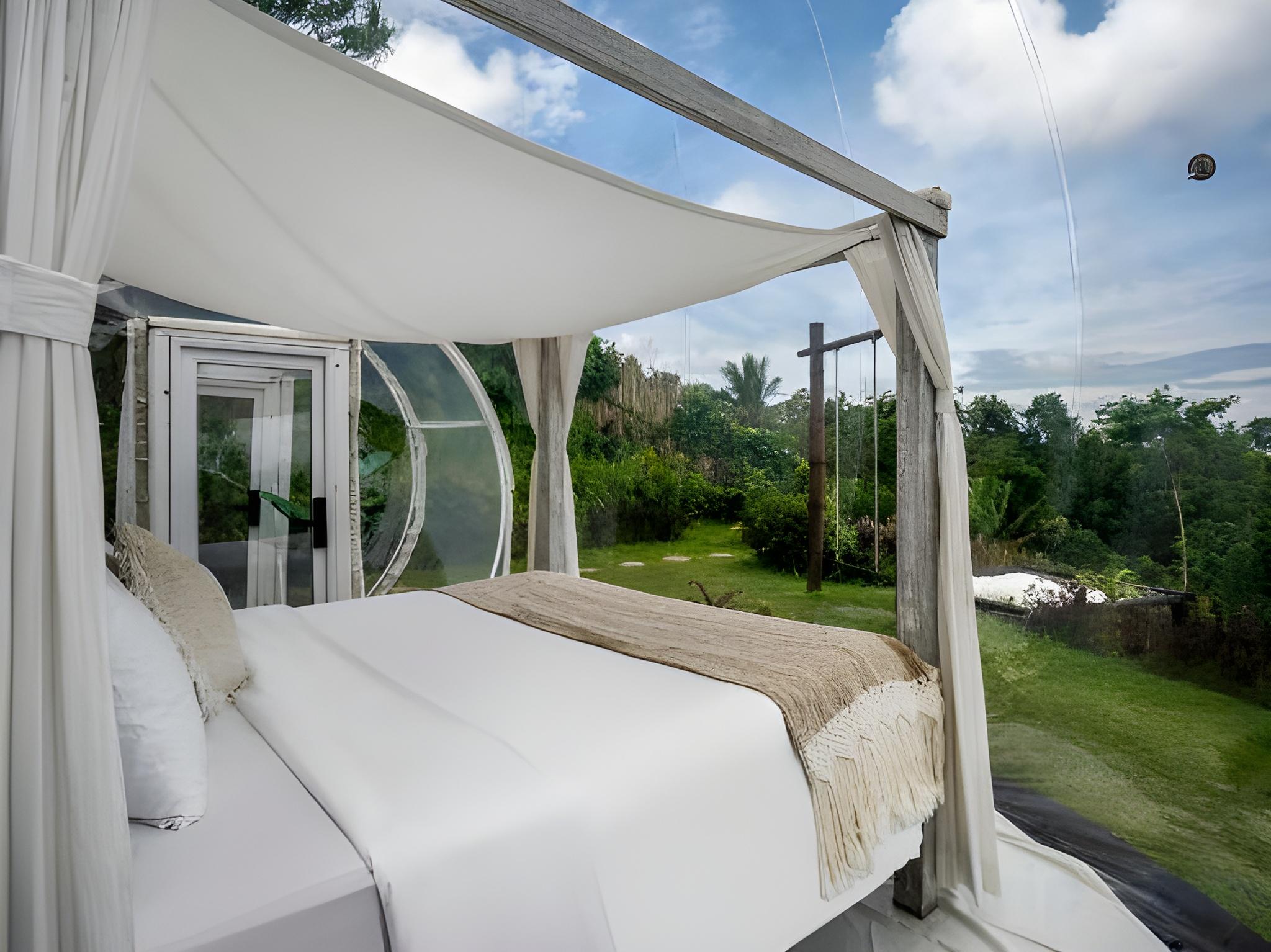 Pool, Superior, Queen Bed